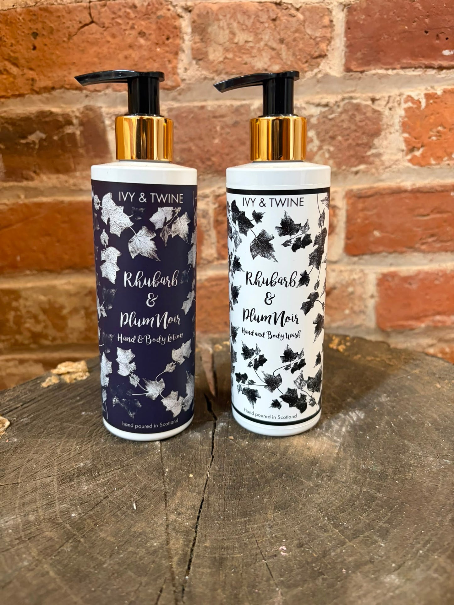 Rhubarb & Plum Noir, Hand Wash and Lotion Set